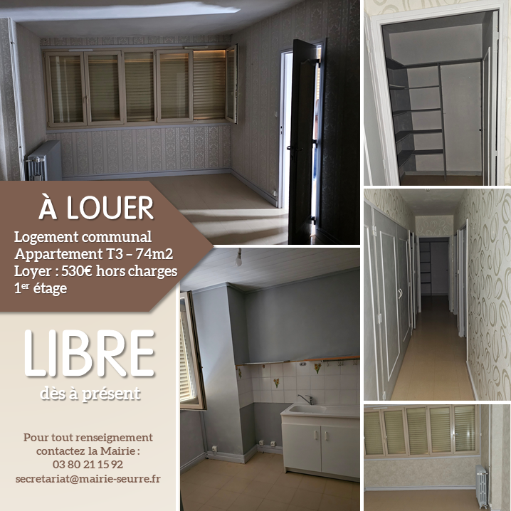 T3 à louer Seurre