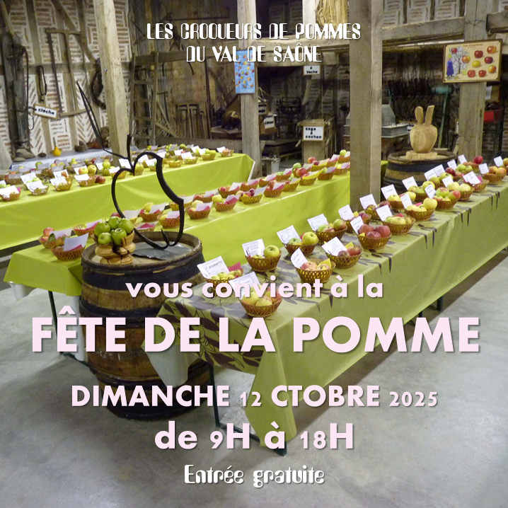 Fête de la pomme à Seurre