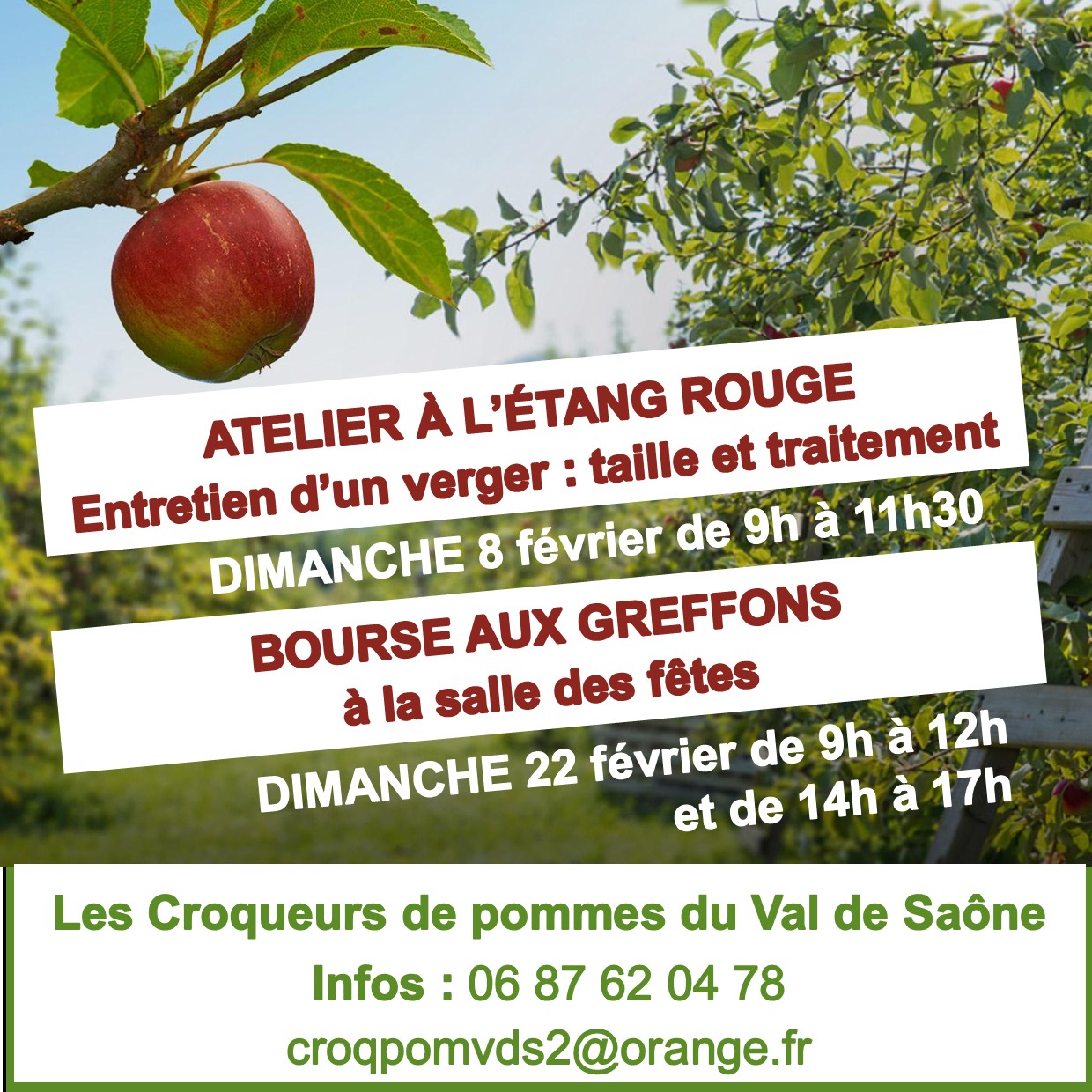 rendez-vous des Croqueurs de pommes